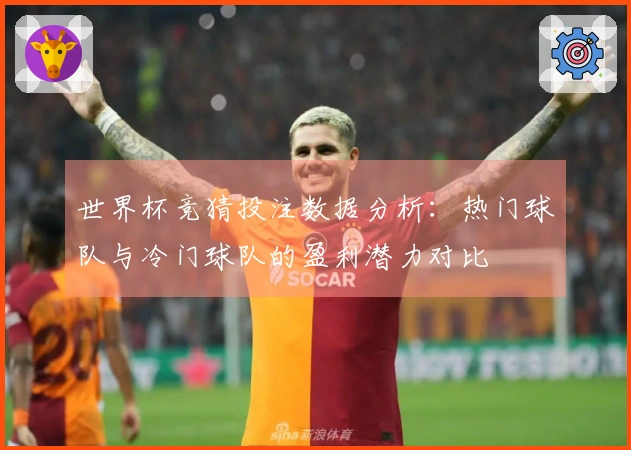 世界杯竞猜投注数据分析：热门球队与冷门球队的盈利潜力对比