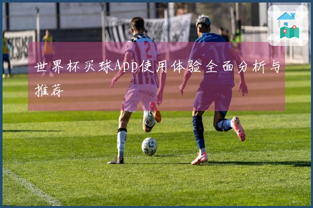 世界杯买球App使用体验全面分析与推荐