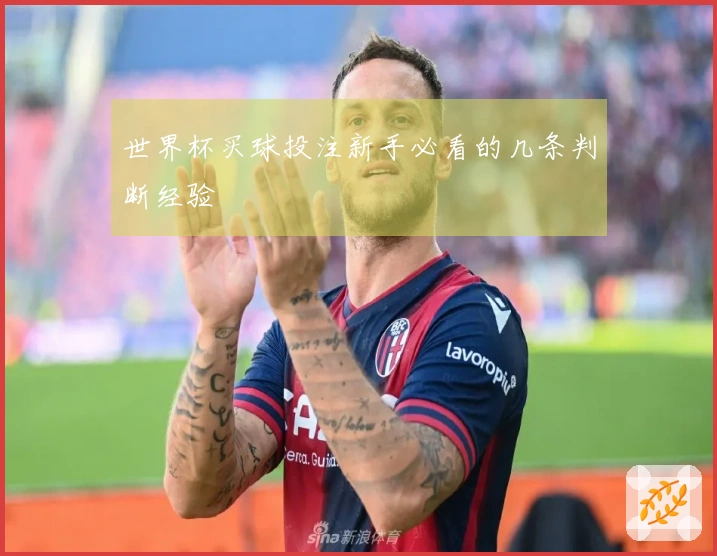 世界杯买球投注新手必看的几条判断经验