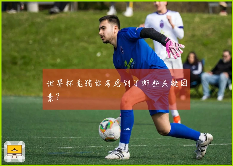 世界杯竞猜你考虑到了哪些关键因素？