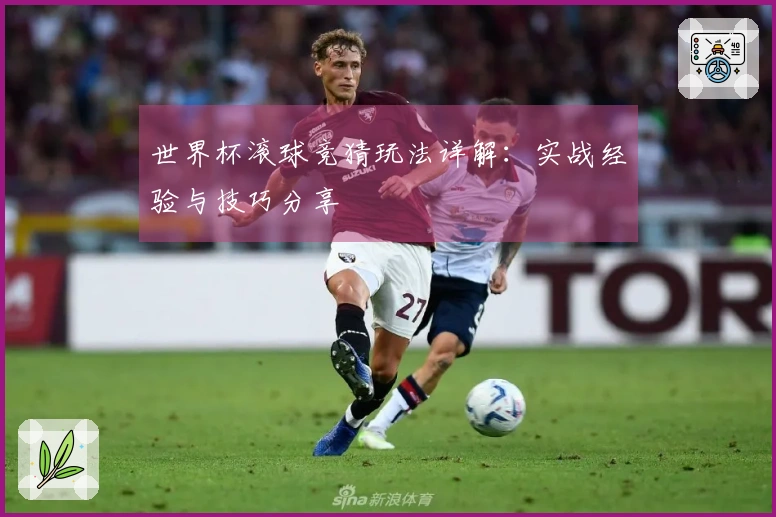 世界杯滚球竞猜玩法详解：实战经验与技巧分享