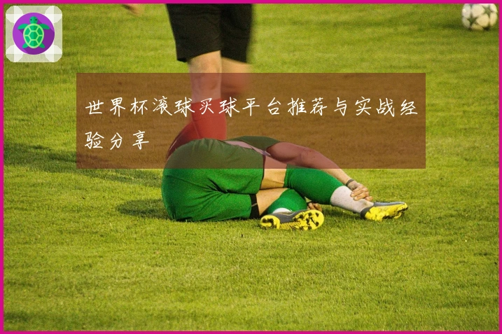 世界杯滚球买球平台推荐与实战经验分享