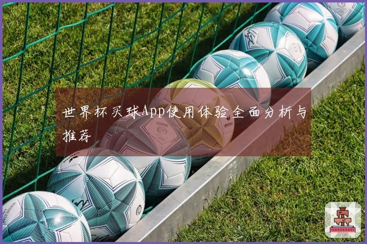 世界杯买球App使用体验全面分析与推荐