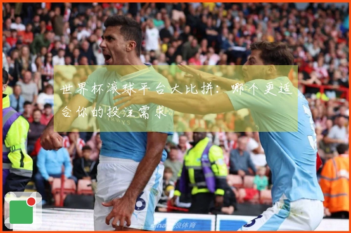 世界杯滚球平台大比拼：哪个更适合你的投注需求